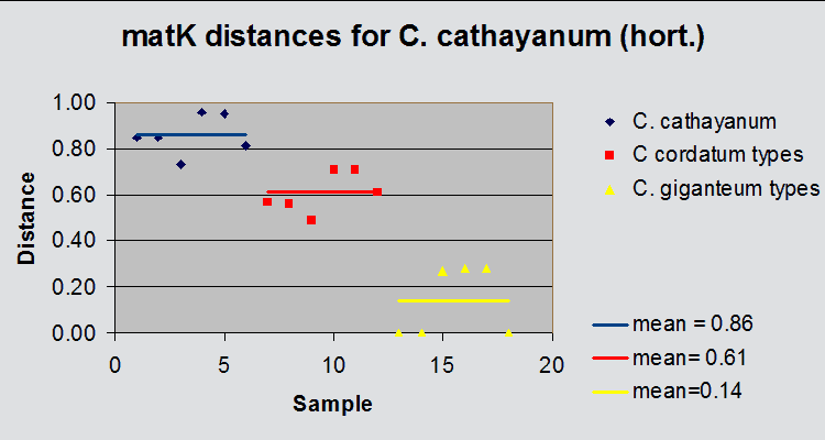 C. cathayanum comparison graph